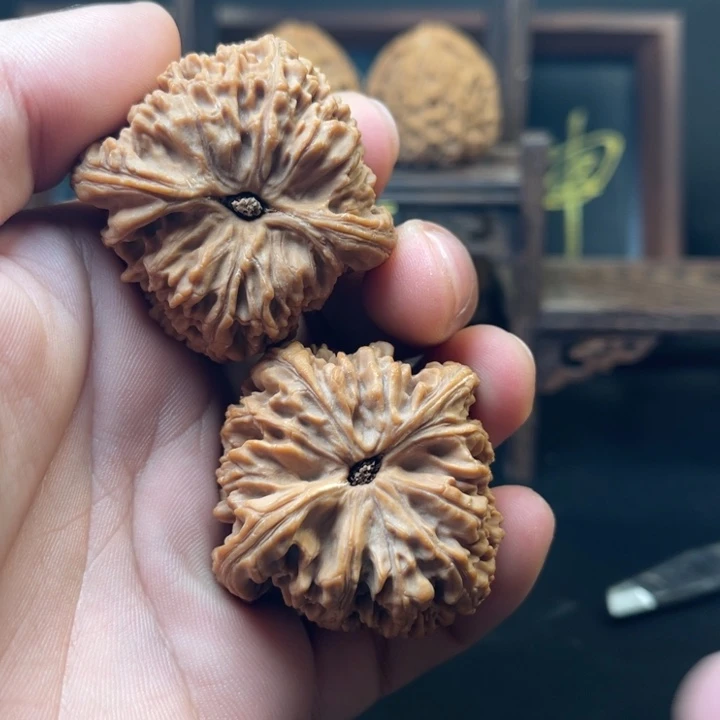 M***V大叶紫檀（黑酸枝木类）