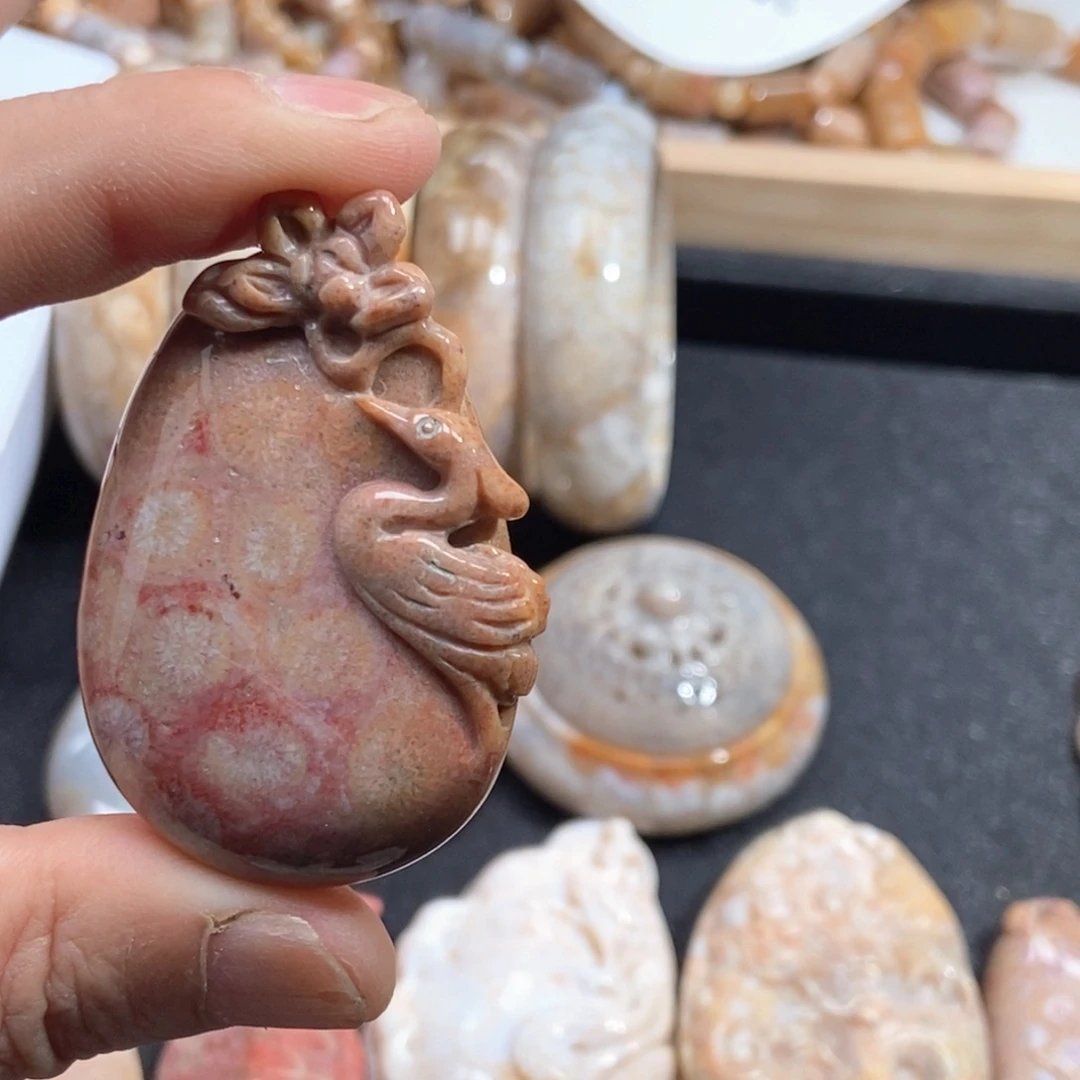 硅化珊瑚（珊瑚玉）未镶嵌1