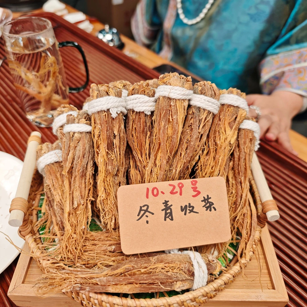 大兴安岭子母玉参 三蒸三晒工艺 秋冬益身茶  冬青收茶