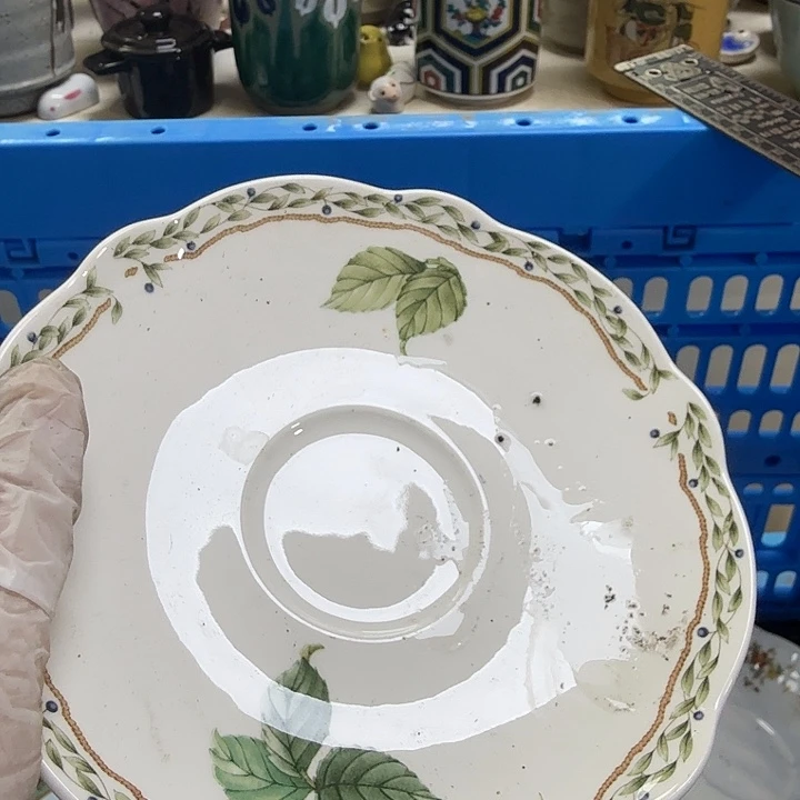 瓷片懒*洋开播啦….开播啦