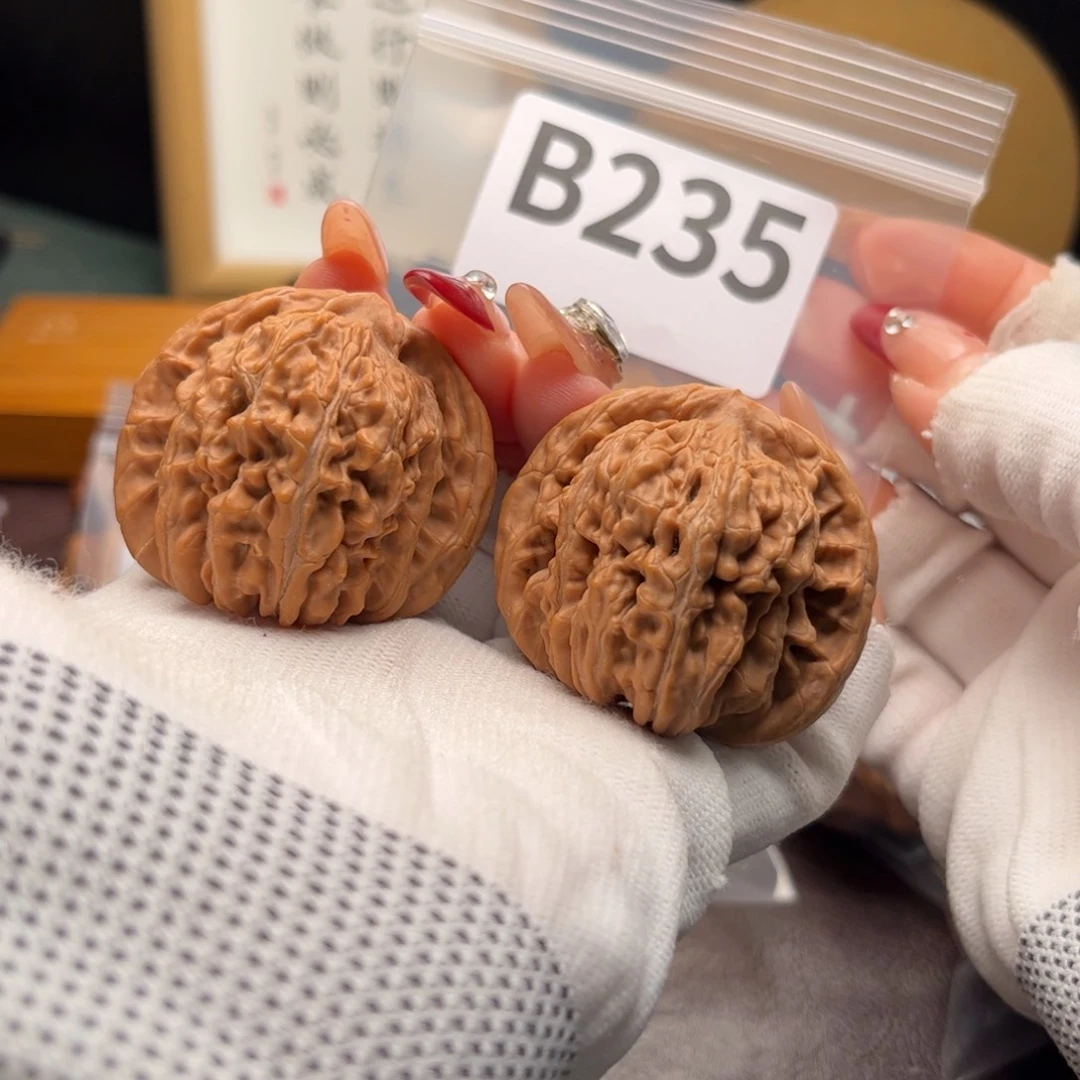 文玩核桃把件43楼b 235