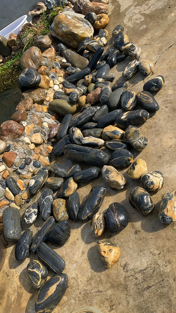 汉江石天然鹅卵石鱼缸石摆件画面石不包邮