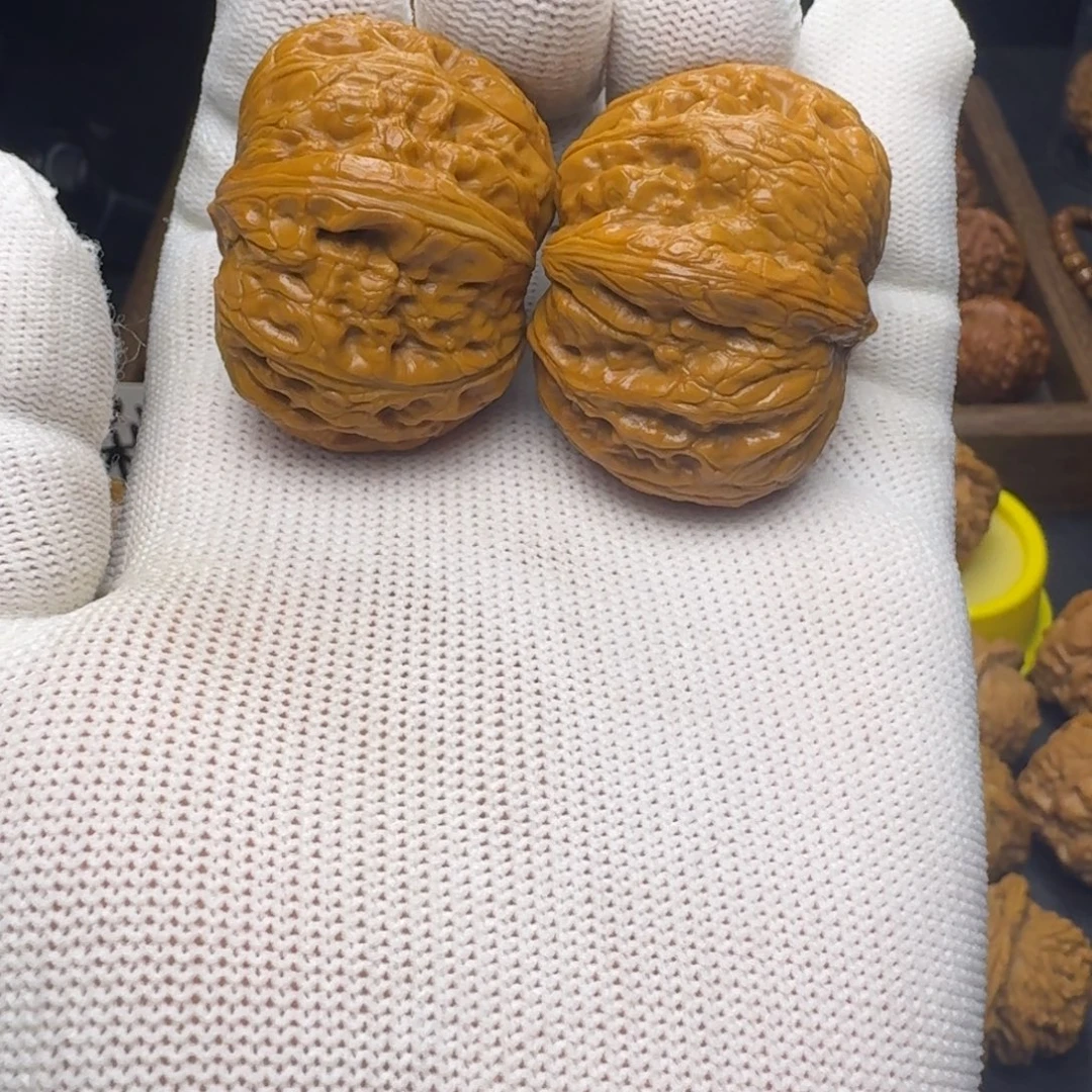 核桃41平谷元宝打底