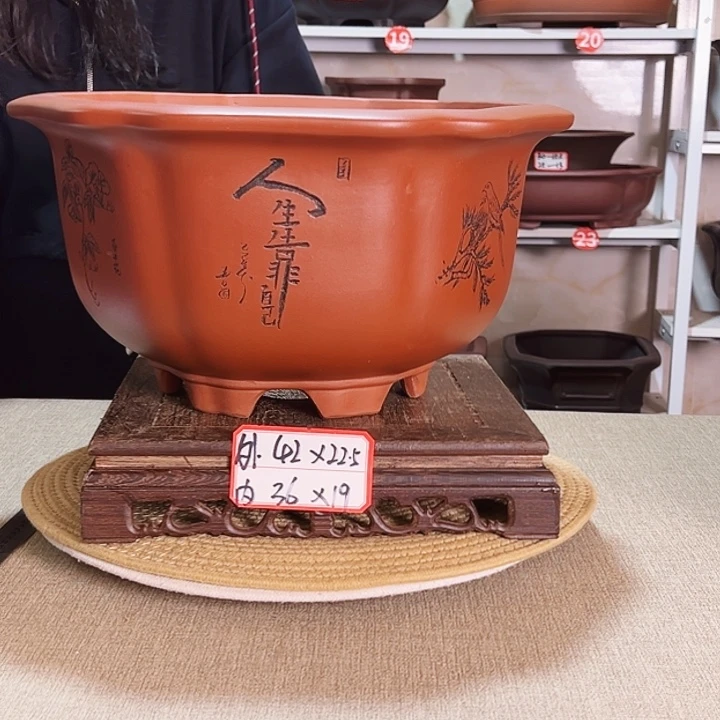 紫砂花盆紫砂花盆