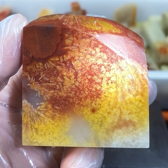 用***1寿山石寿山品种石印章印石