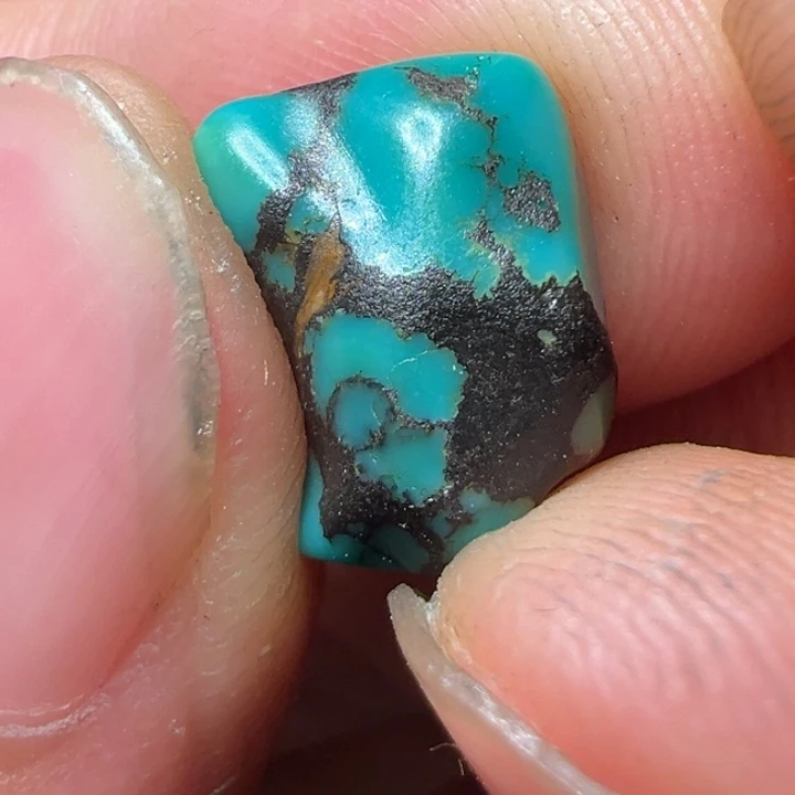 我们都会在这里等