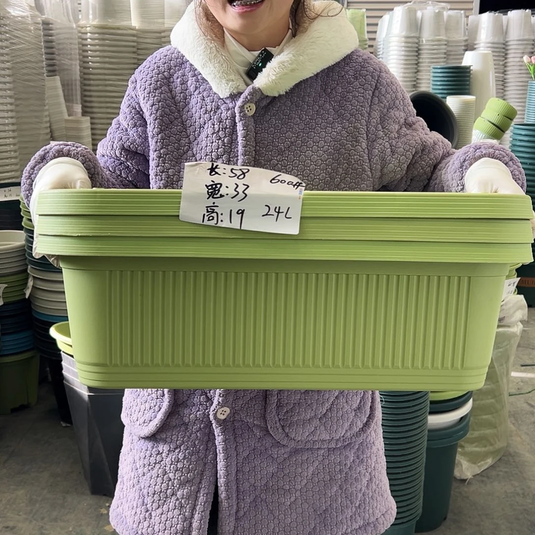 菜盆600#果绿3个无托