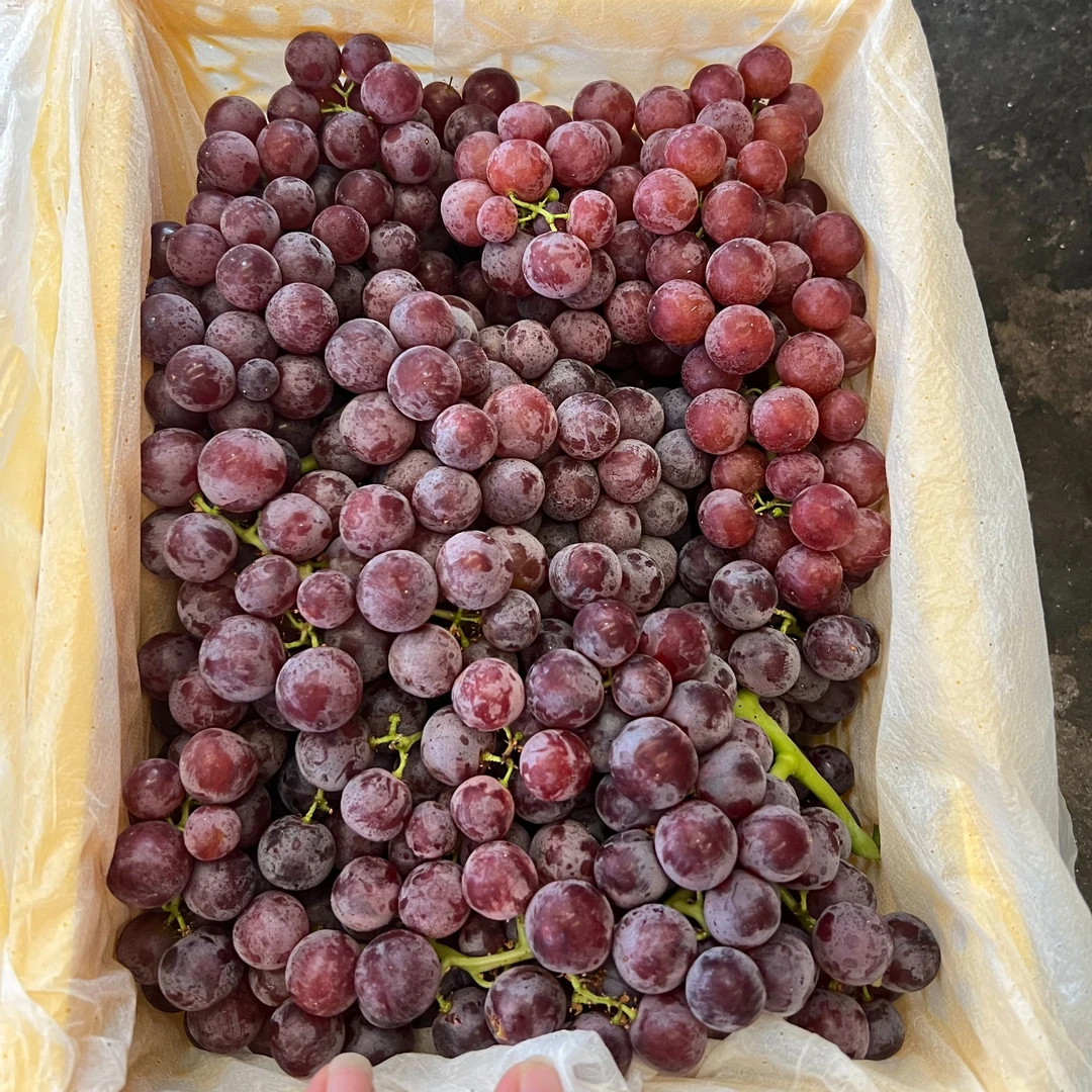 新疆玻璃脆无籽火焰山小糖豆顺丰包邮只发川渝