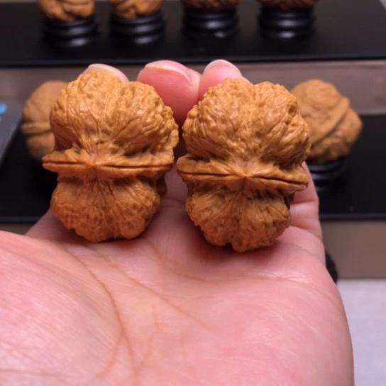 文玩核桃把件霸龙龙脊9