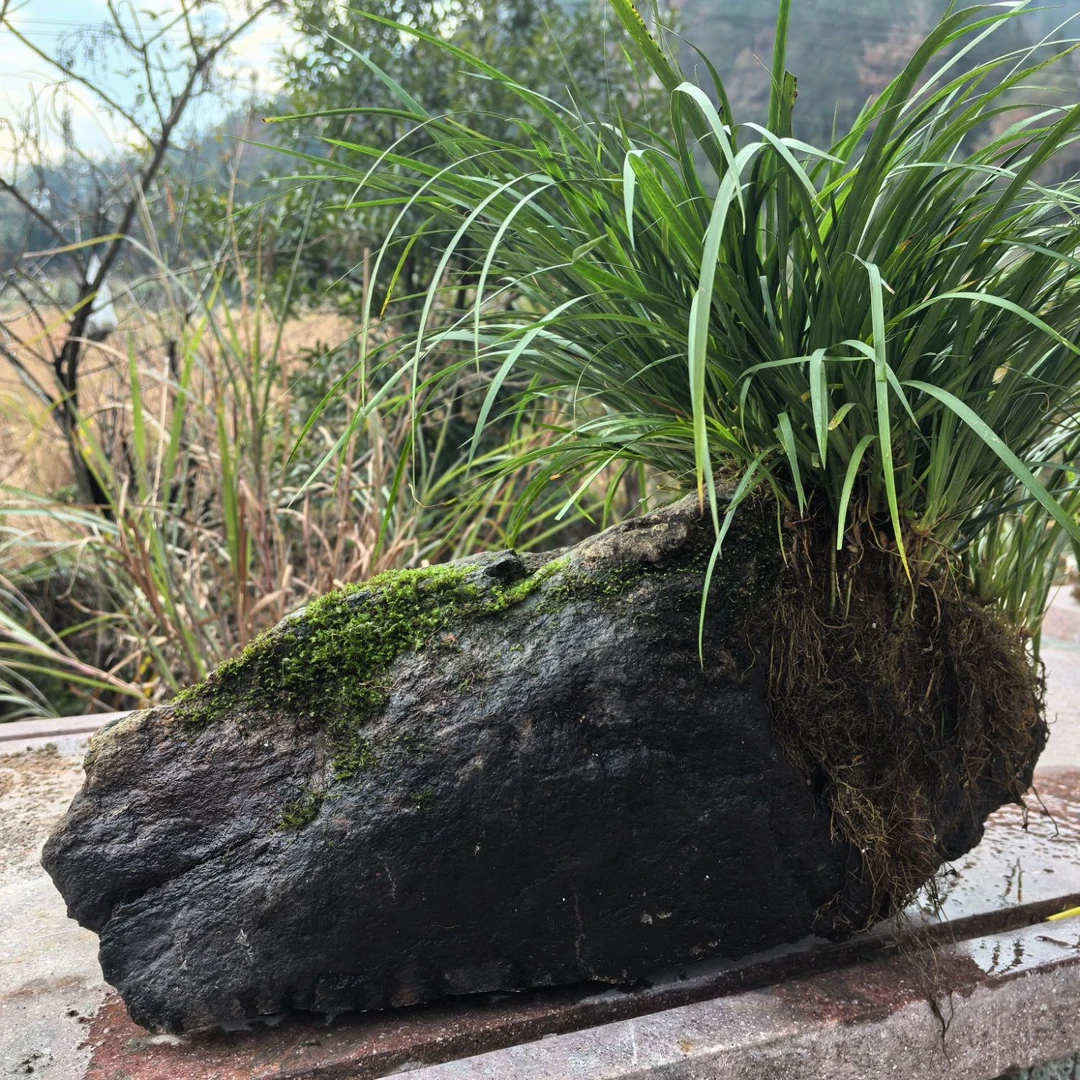 鱼缸鱼池龟缸茶室茶桌书桌假山客厅书房庭院盆景造景素材