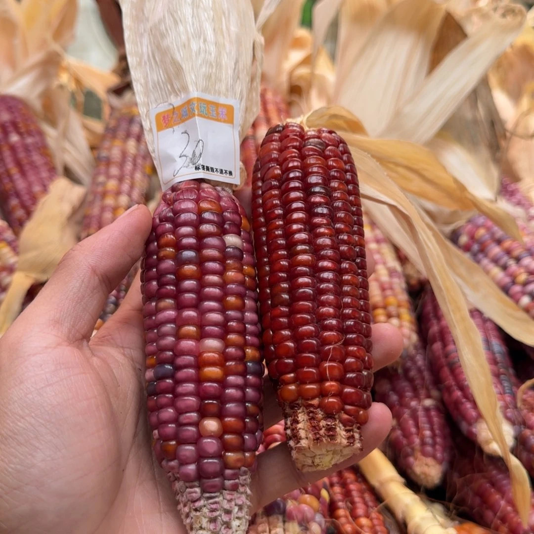 财***宝柏香籽/百香籽吊坠