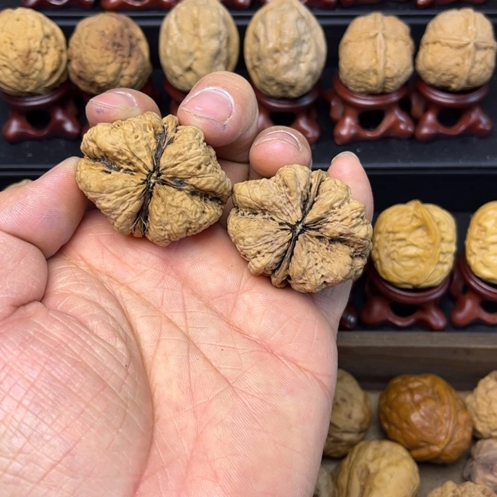 核桃铁核桃蝴蝶蟾9