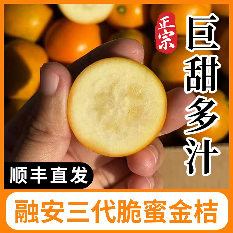 【顺丰直发】正宗融安第三代脆蜜金桔爆甜多汁新鲜应季水果现摘现发