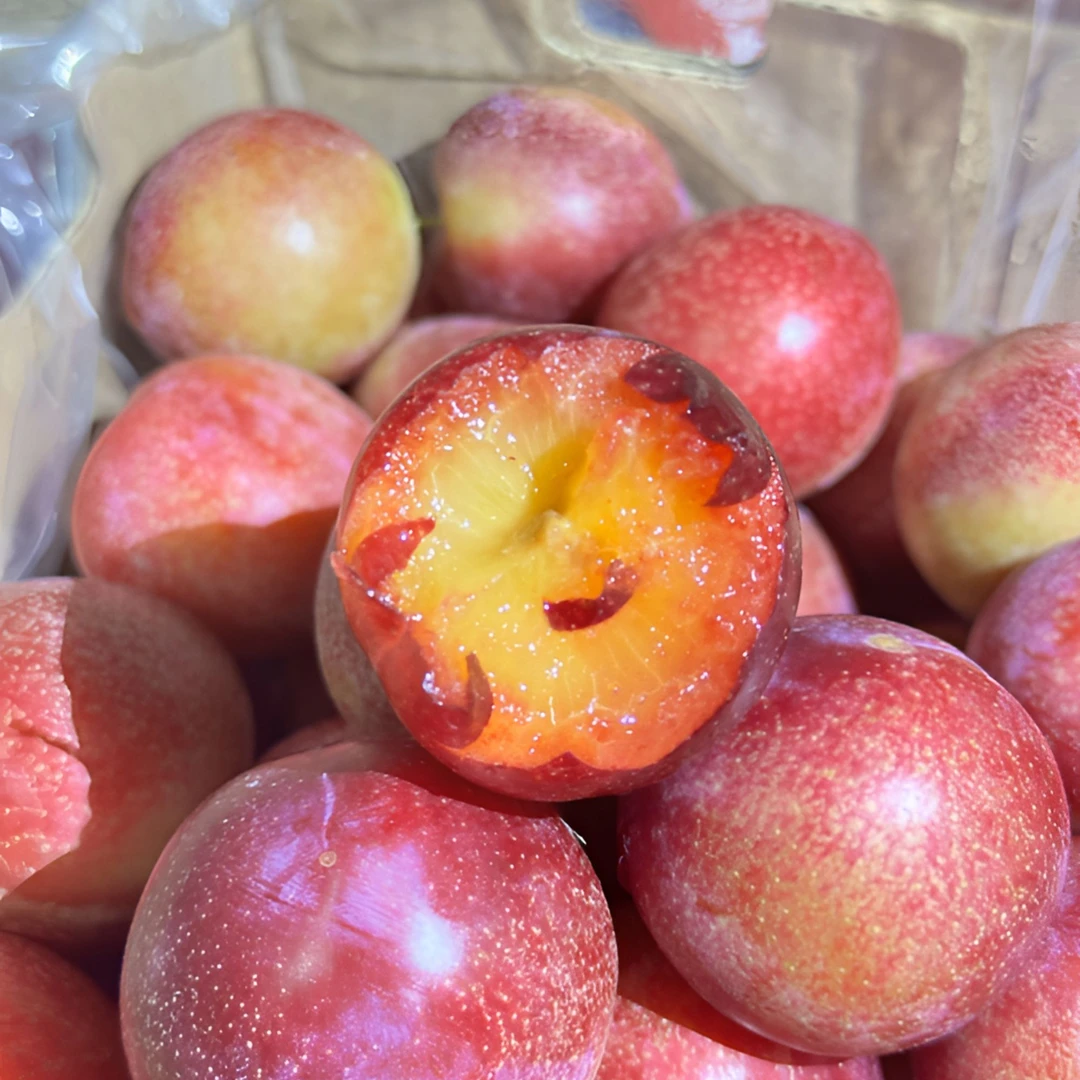 【盾哥严选】智利4J樱桃李2/5斤装 顺丰包邮