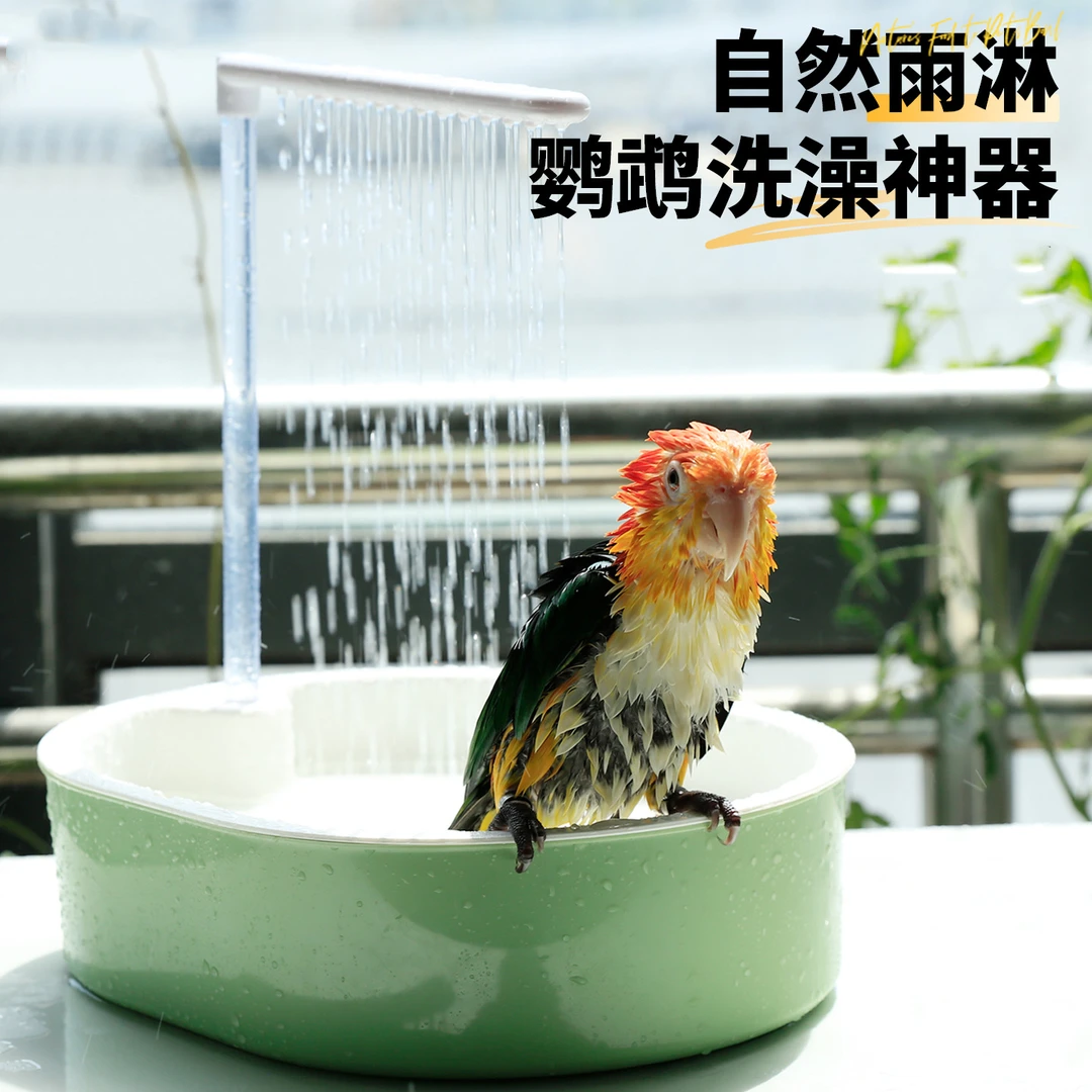 鹦鹉洗澡盆自动循环八哥小鸟洗澡神器小太阳玄凤专用鸟用大号浴盆