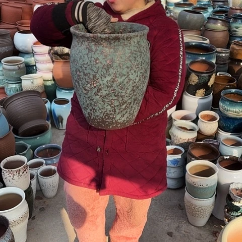 24口31高盆子盆子