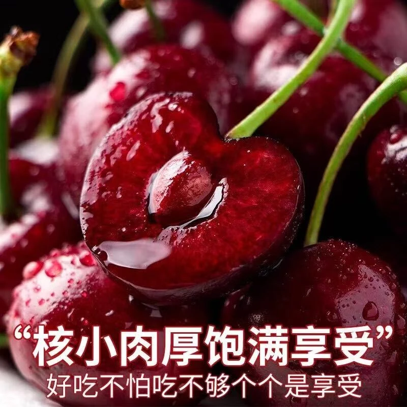 智利空运拉宾斯车厘子 单J 净重5斤 内附果径卡