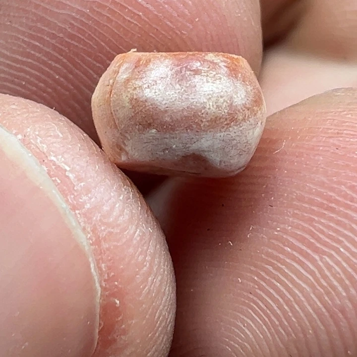 泥塑x87    7.5*5.2满沁剁珠