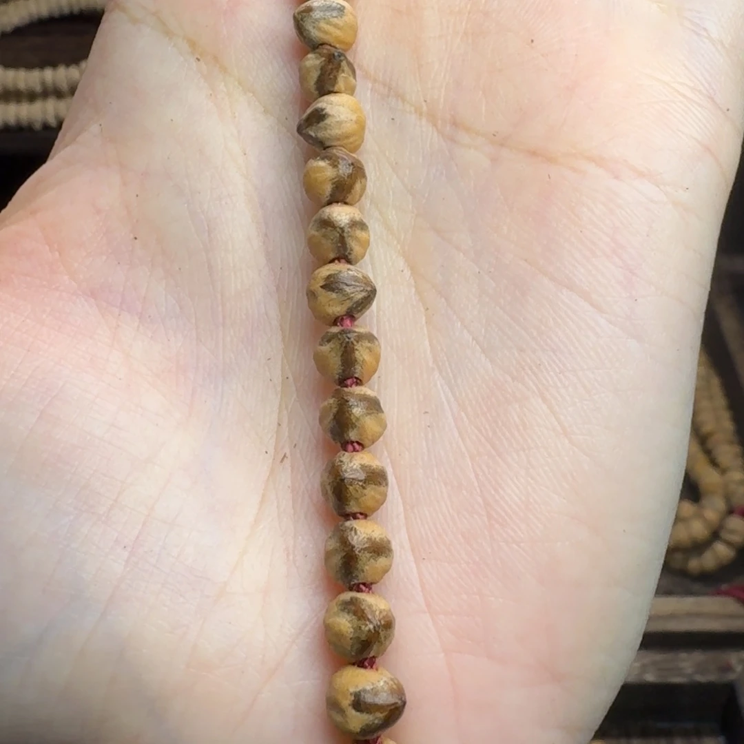 手串柏香籽/百香籽三棱大奔