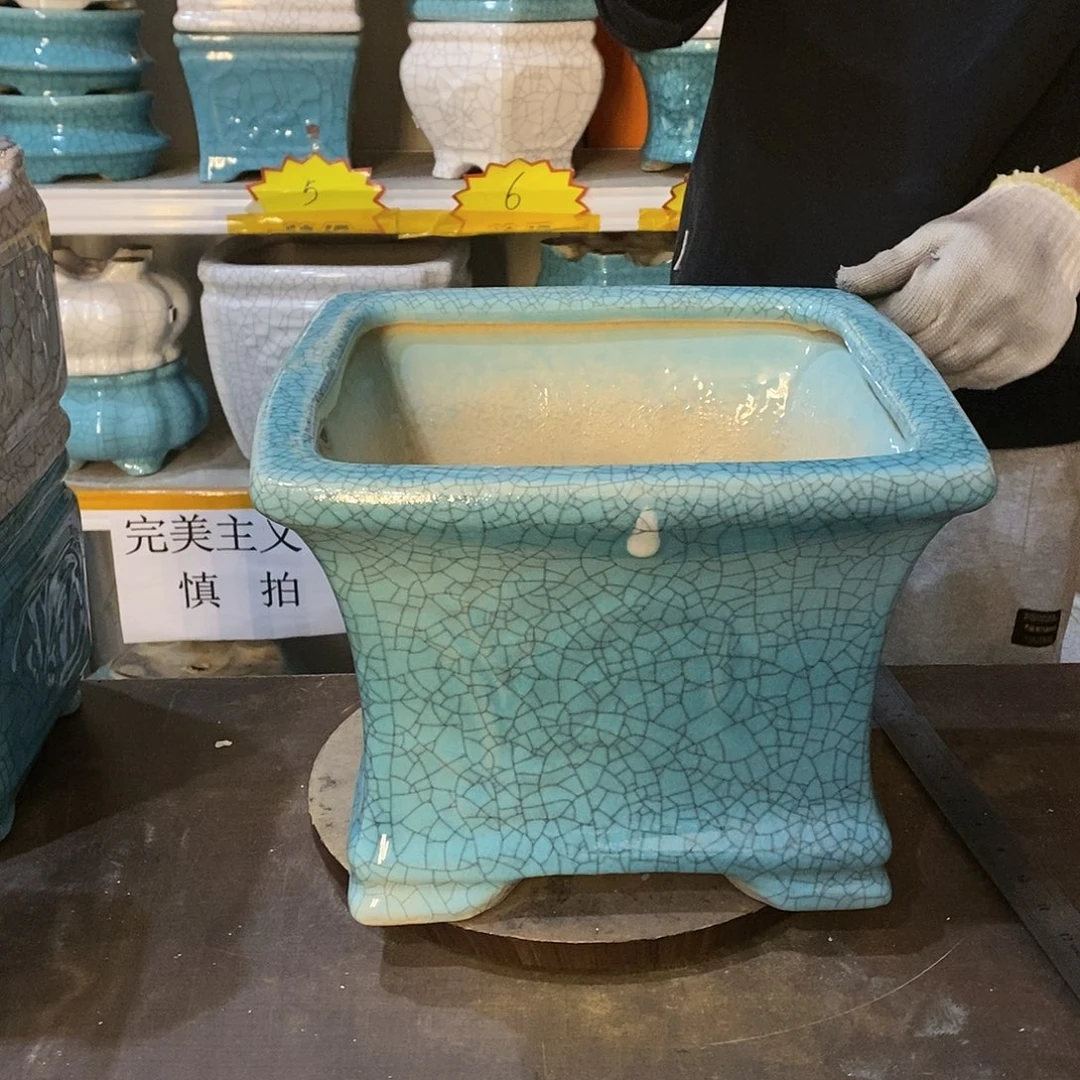 蒜**鸟瑕疵花盆花盆里的花都
