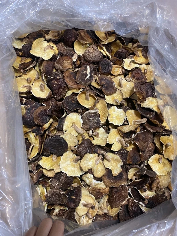 福建三明宁化野生香菇香菇味道香嫩滑