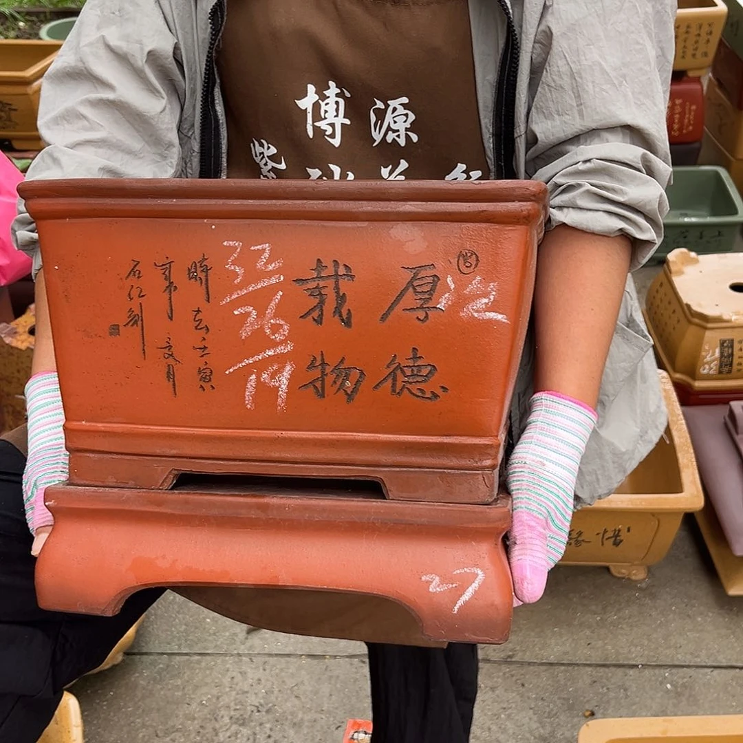 紫砂花盆天*盆景艺术