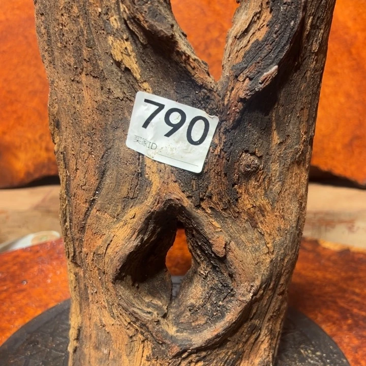 大果紫檀（缅甸花梨）