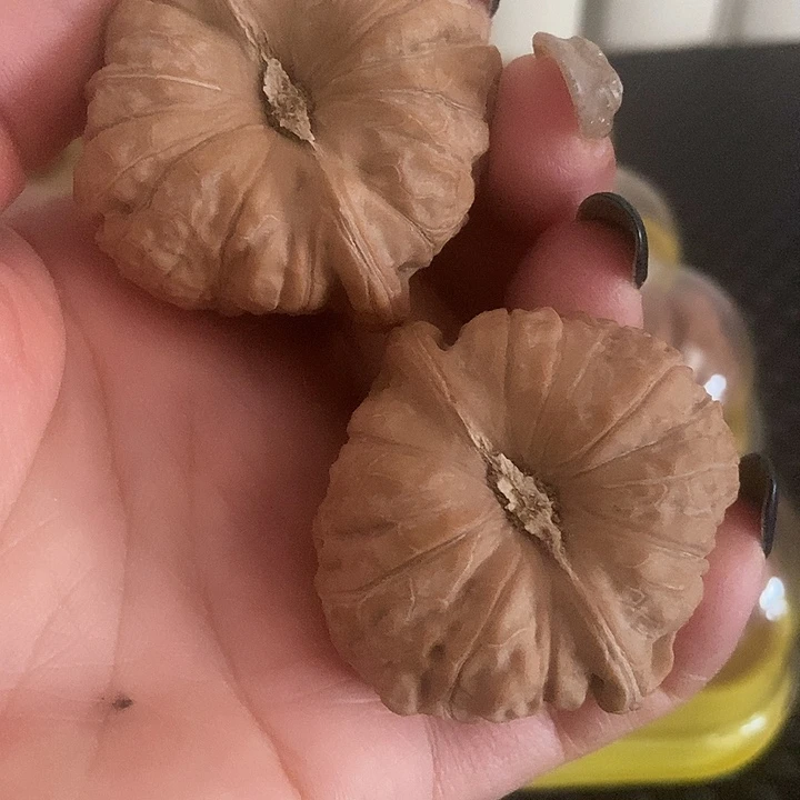 大叶紫檀（黑酸枝木类）