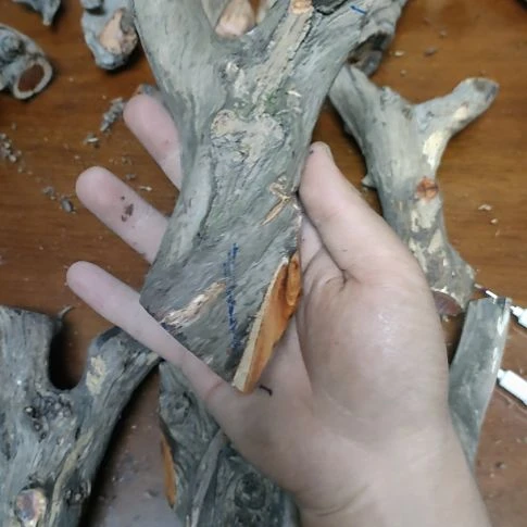 顽***石大果紫檀（缅甸花梨）