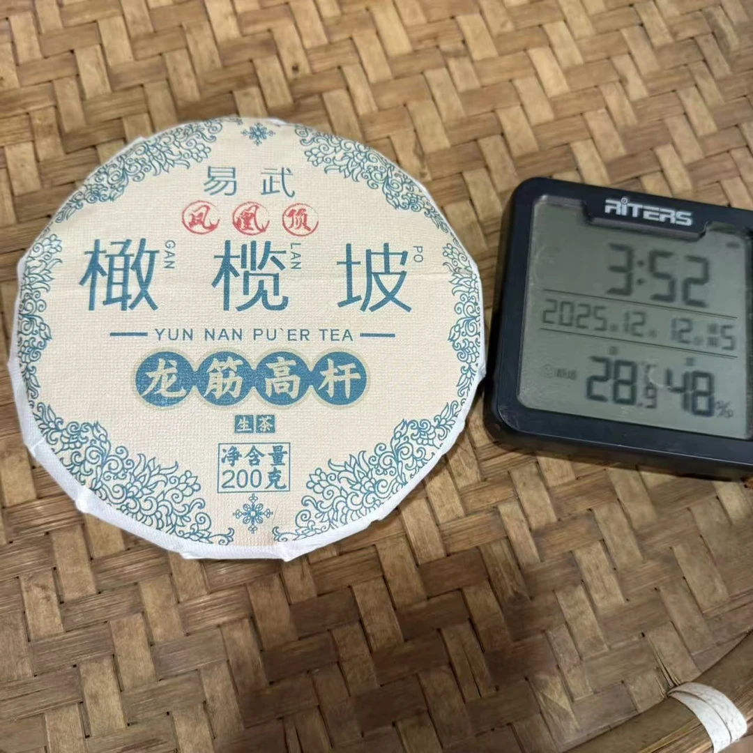 2023年易武凤凰顶橄榄坡龙筋高杆普洱生茶饼200克F18号12月12日