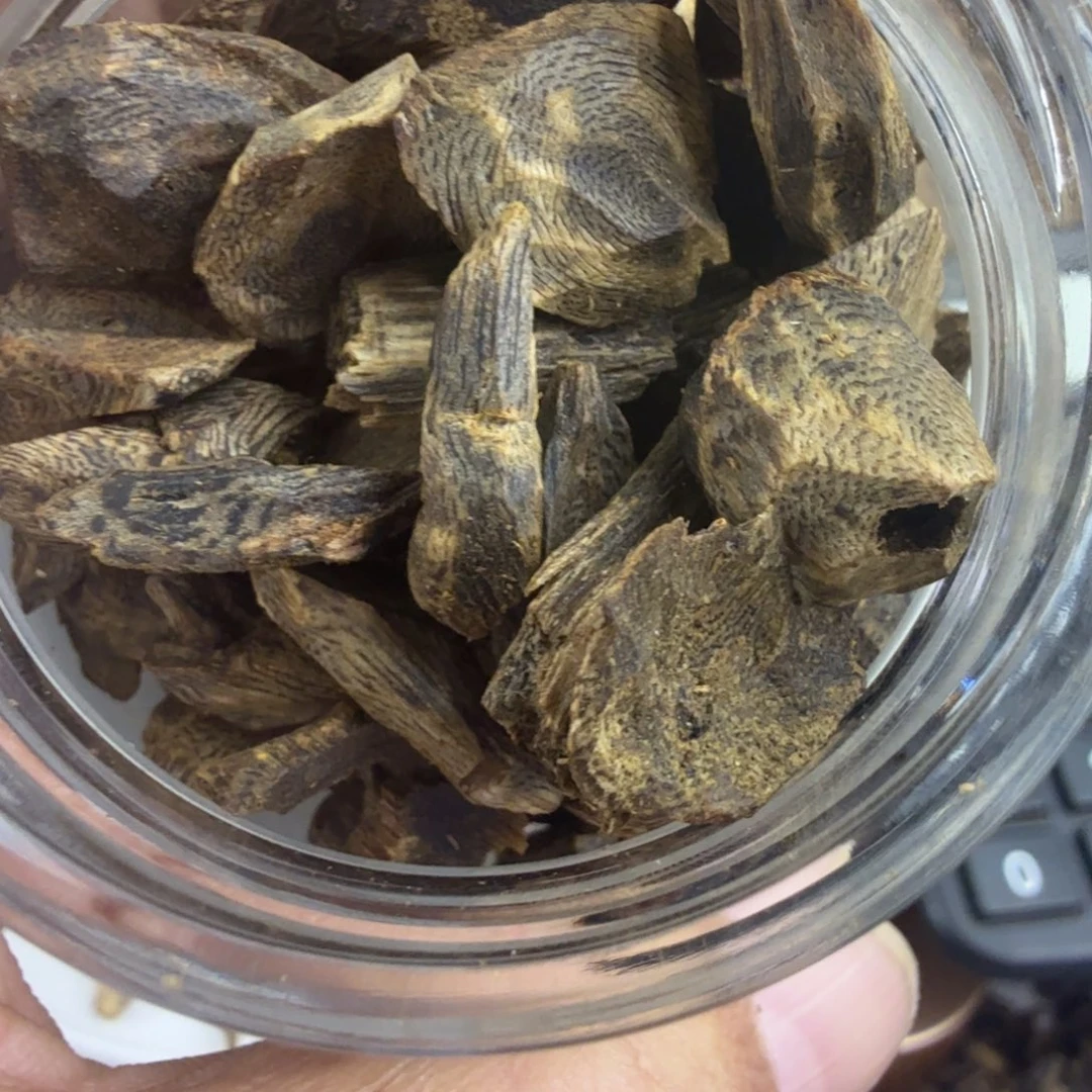 用***8香料沉水大树丁76克