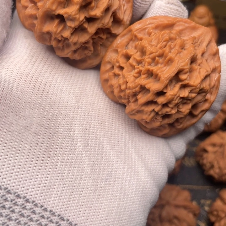 小***仔核桃秦岭44尺大花