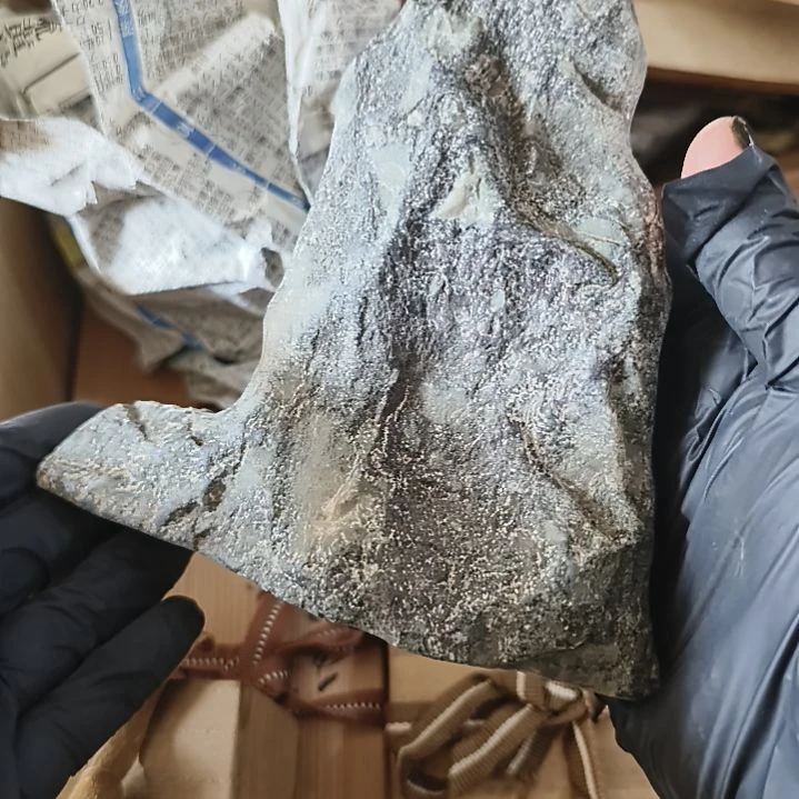 罐一单元精品日瓷一个精品日瓷