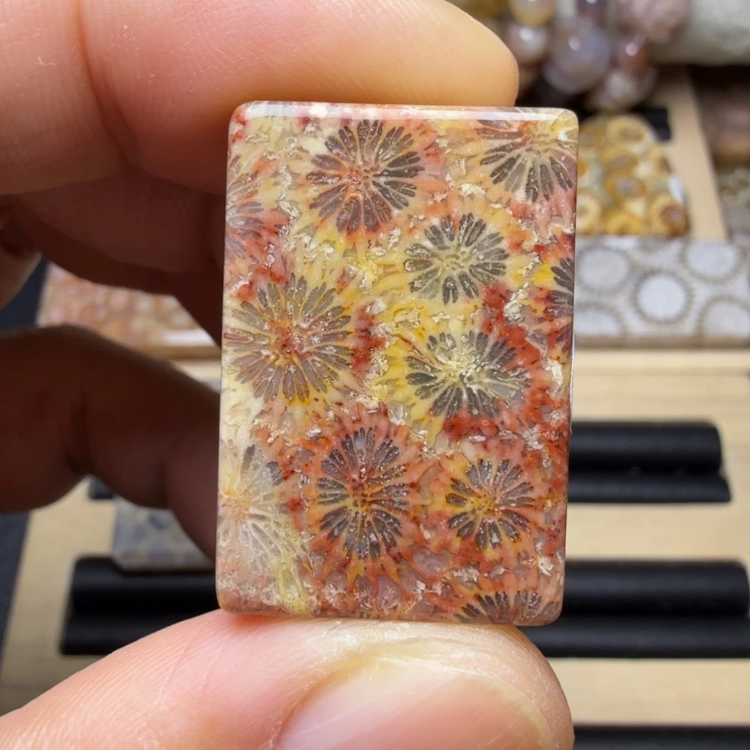硅化玉未镶嵌天然色有机玉石保真色