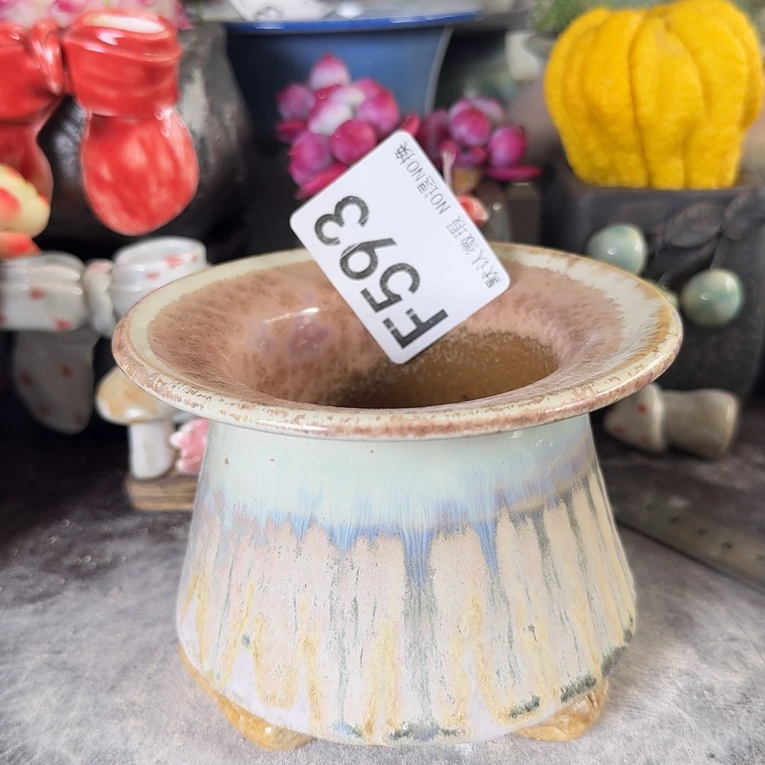 重庆小燕子欢迎大家593