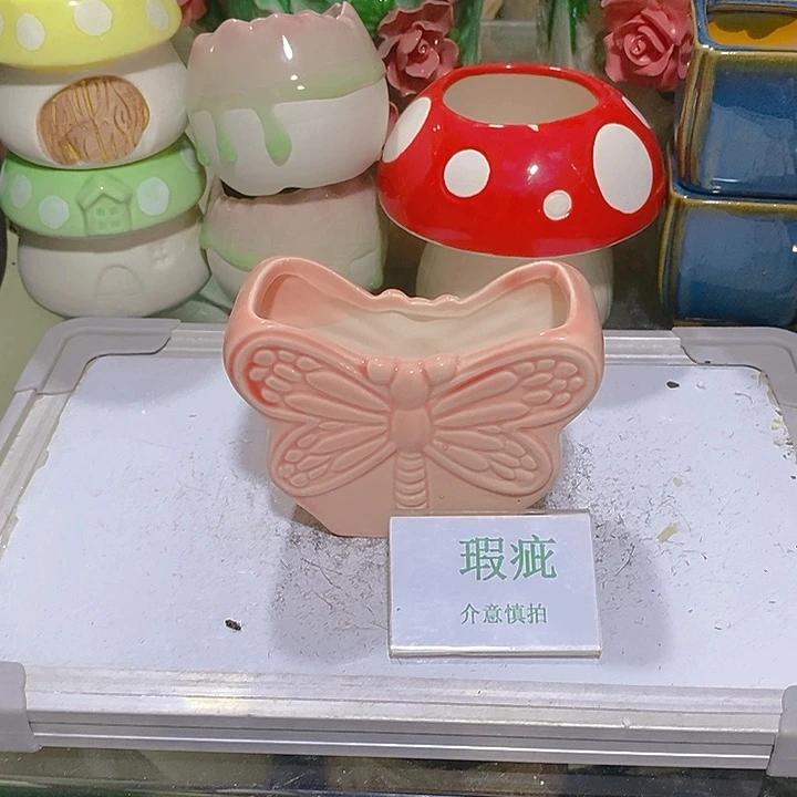 摆件多肉瑕疵盆有孔。