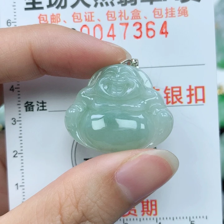 翡翠颈饰银S925镶嵌天然翡翠a货