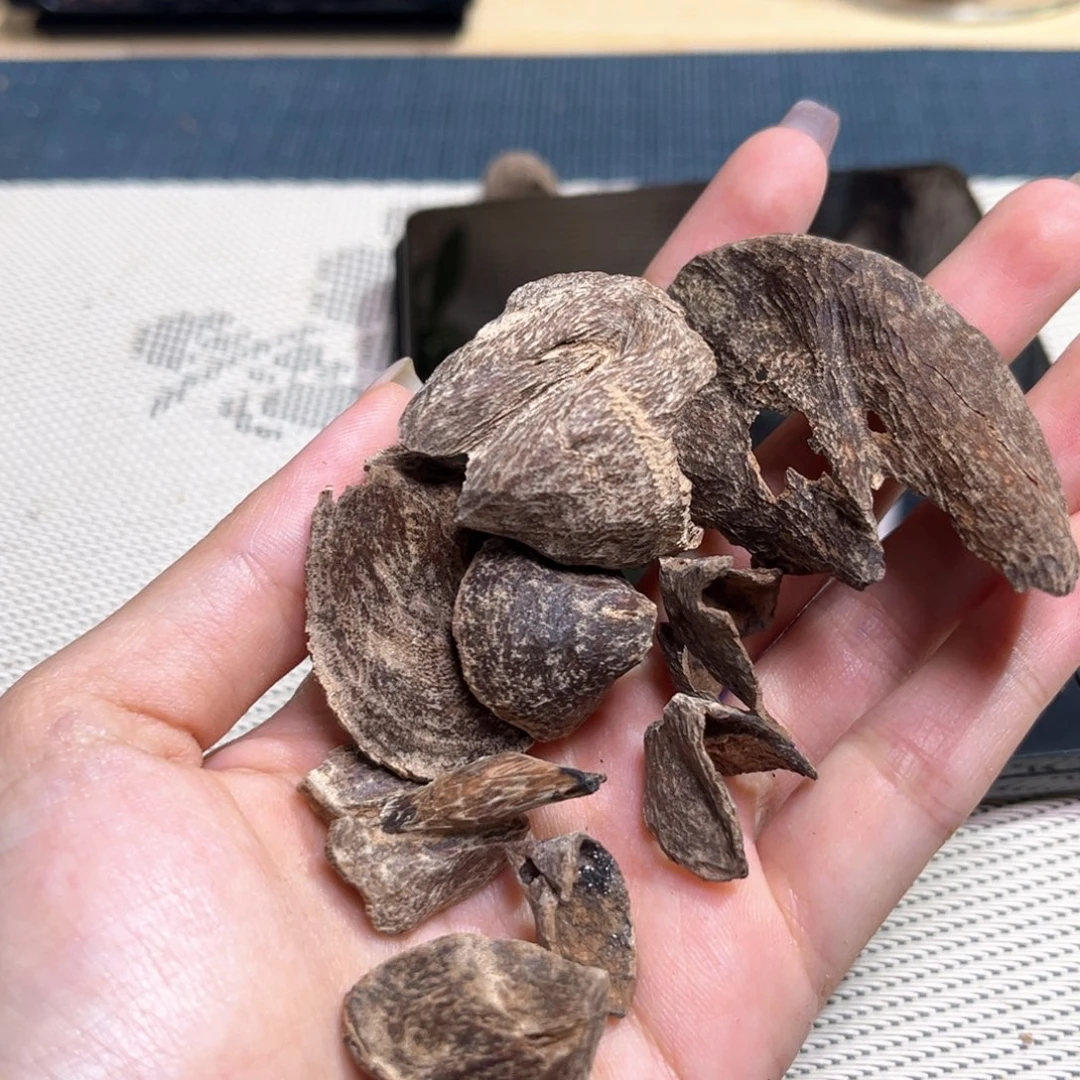 香榧木海南屯昌小斗笠5.7克重福利