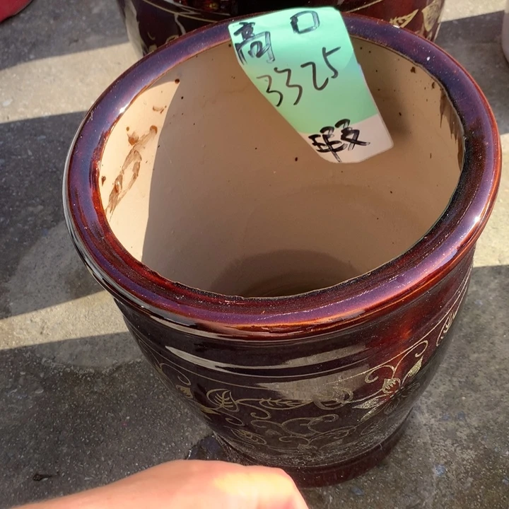 花盆里的小猫咪们都好可爱啊哈哈