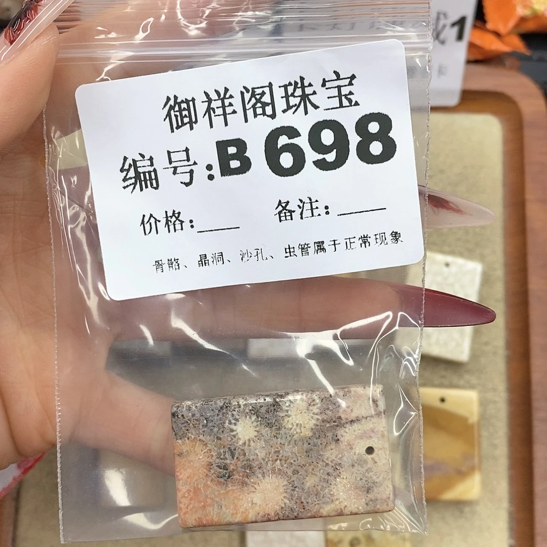 硅化珊瑚（珊瑚玉）颈饰未镶嵌玖*