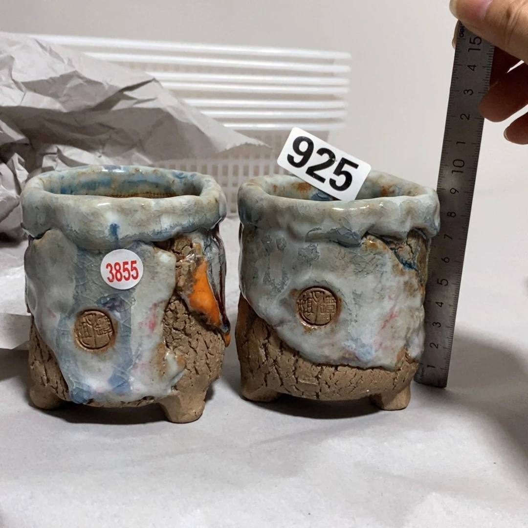 打*豆拍5送一个小礼物