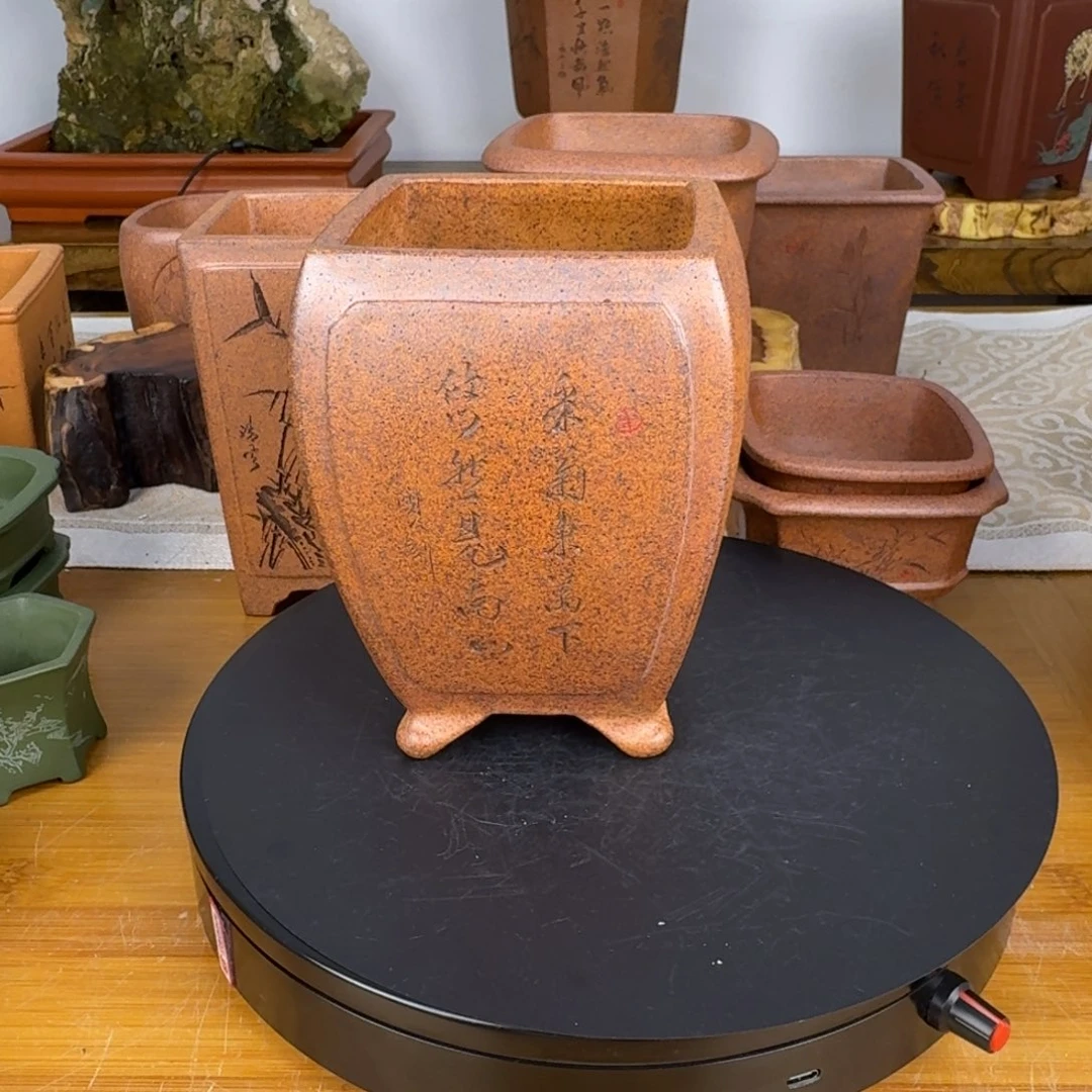 紫砂花盆華*紫砂花盆