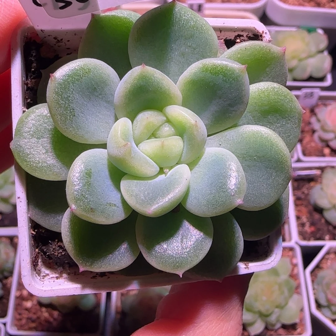 30-23福利财富密码CF5