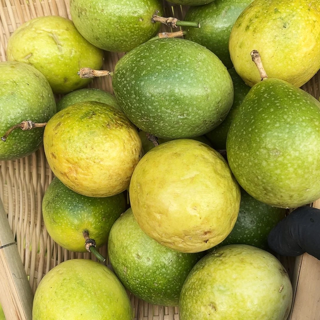 钦蜜9号5斤净重百香果