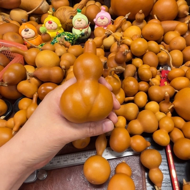 顾***的故意的一把中号金蝉