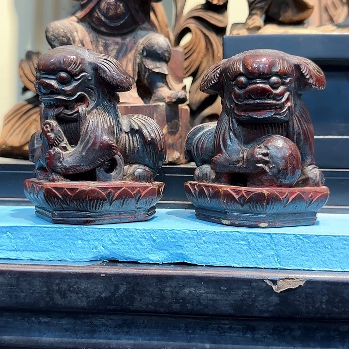 大果紫檀（缅甸花梨）ゞ**陈