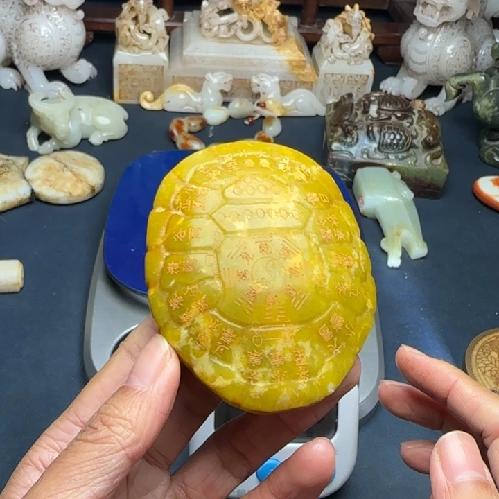 虎***风111111111111111111