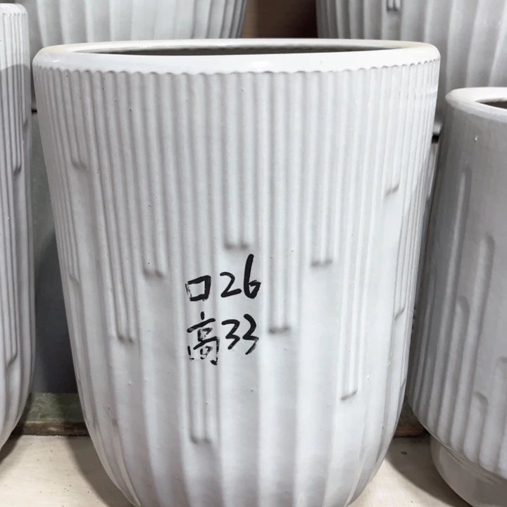 中号音符纯白26口正常品