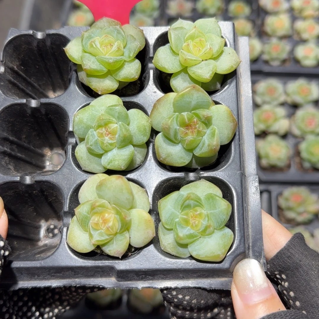 136哈哈哈哈哈哈哈哈哈啦哈哈