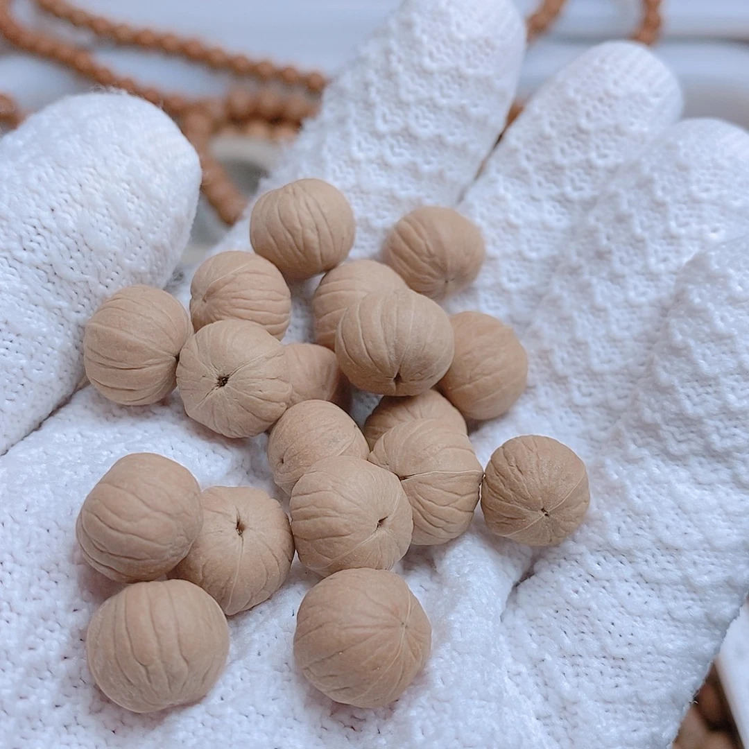 海***浪15+南瓜50颗，打孔